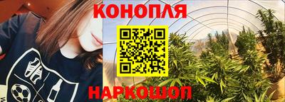 прущие крисы Новодвинск