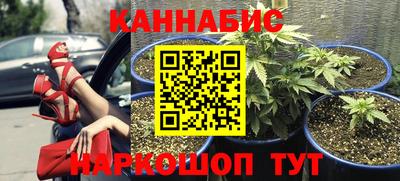дмт Новозыбков