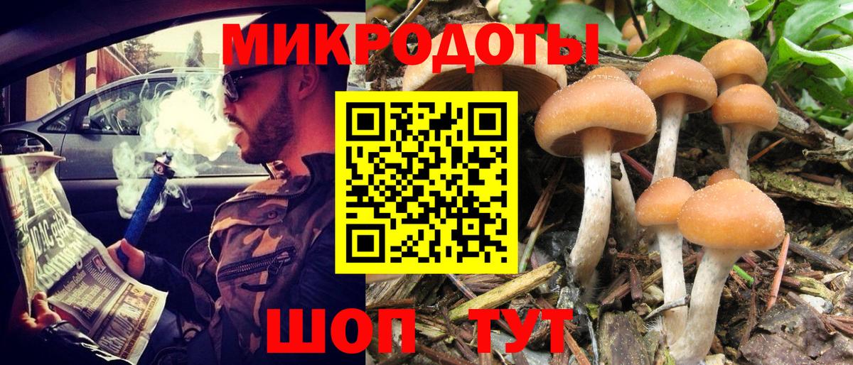 Галлюциногенные грибы прущие грибы Тольятти