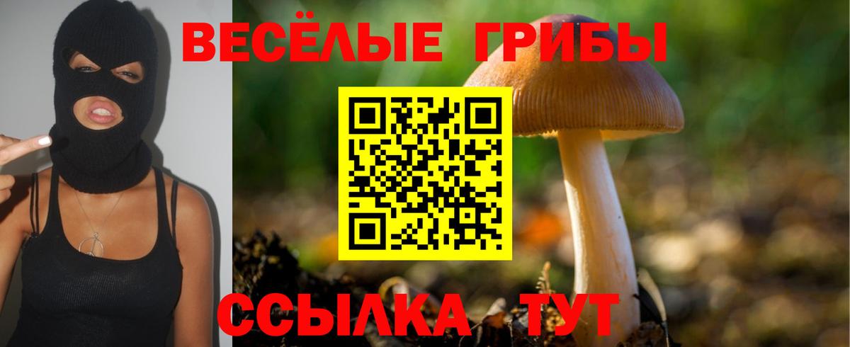 Тольятти  Псилоцибиновые грибы ЛСД  Вход с VPN 